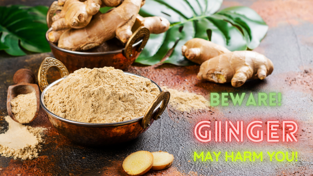 Benefits of ginger are well established but harms should also be considered.